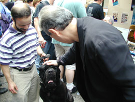 Andrew Vachss, Joseph Steinfeld und Minerva